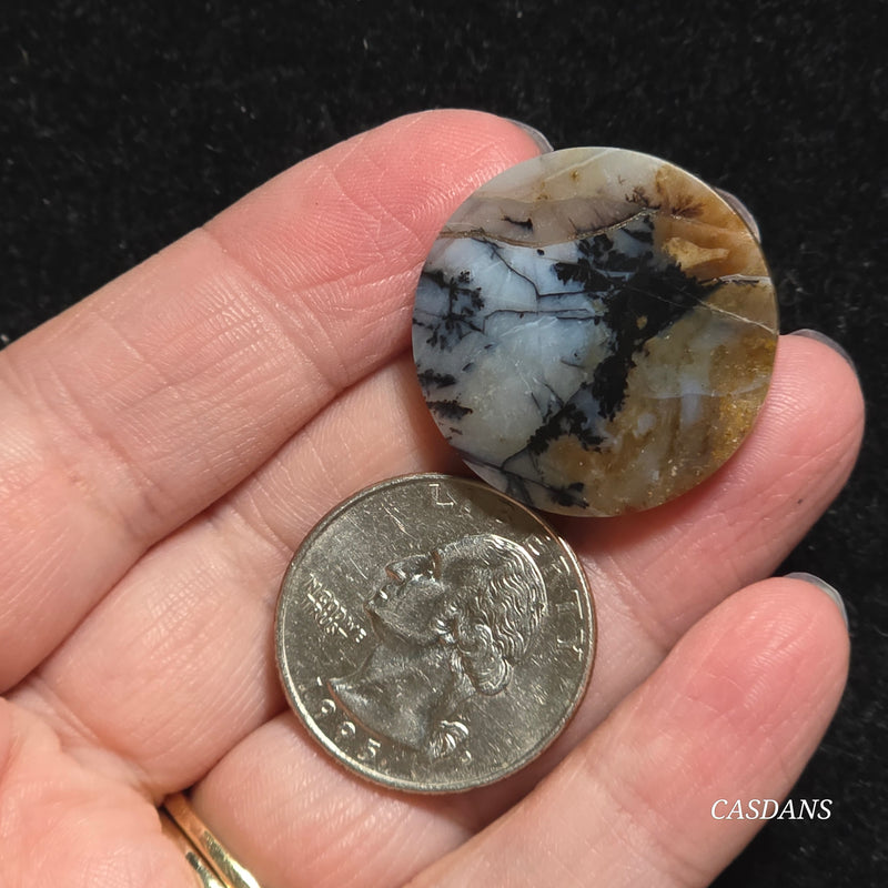 Dendritic Agate Cabochon