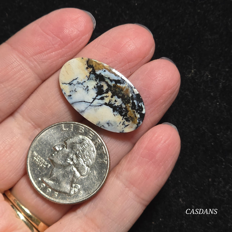 Dendritic Agate Cabochon