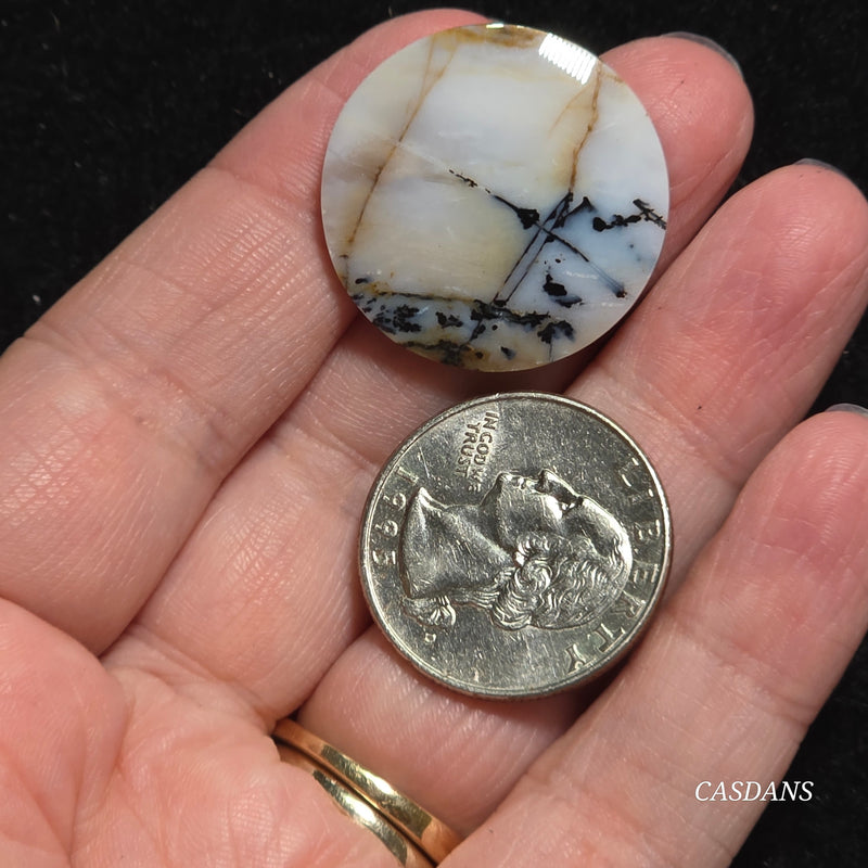 Dendritic Agate Cabochon