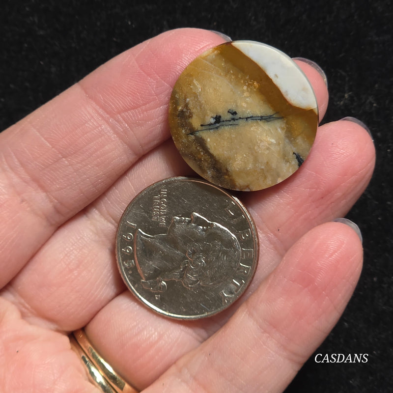 Dendritic Agate Cabochon