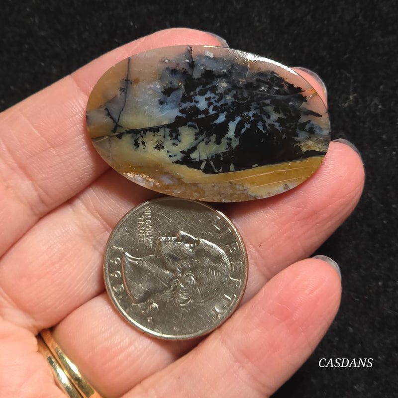 Dendritic Agate Cabochon