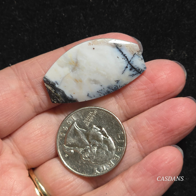 Dendritic Agate Cabochon