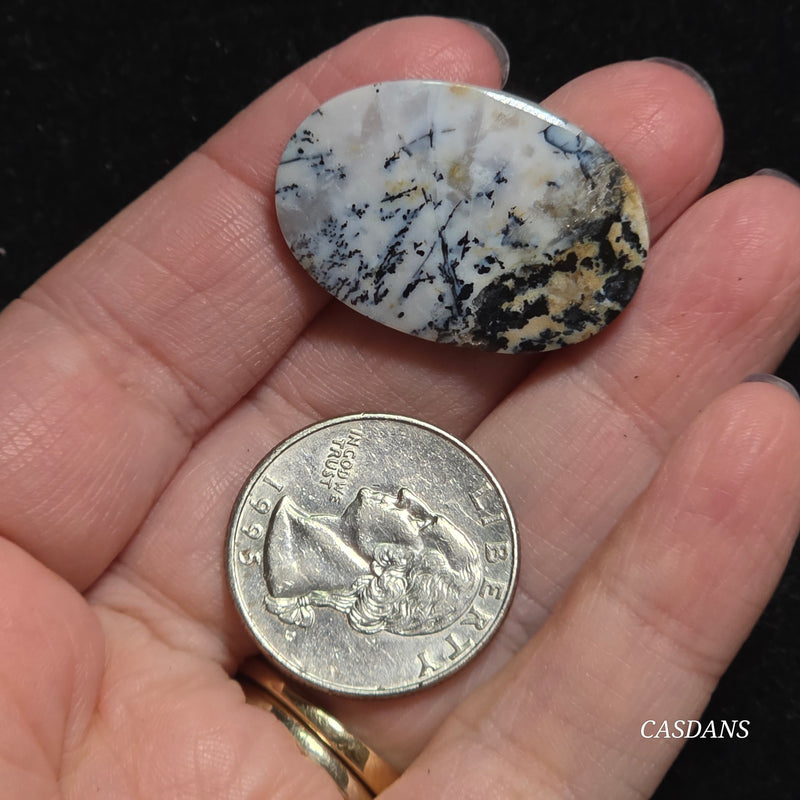 Dendritic Agate Cabochon