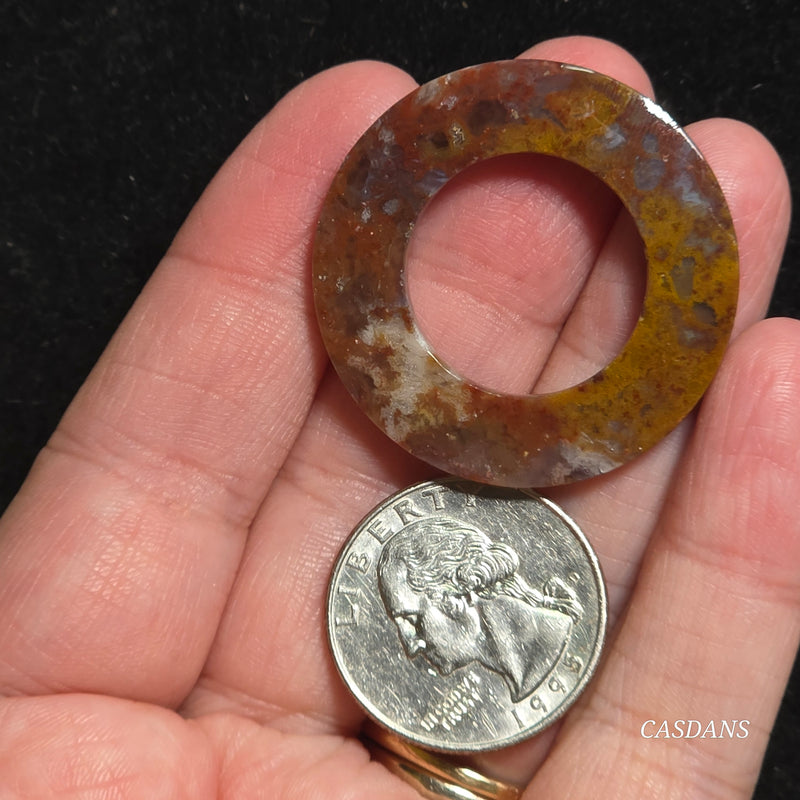 Petrified Wood O-Ring