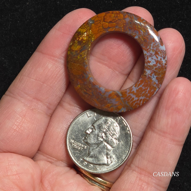 Petrified Wood O-Ring