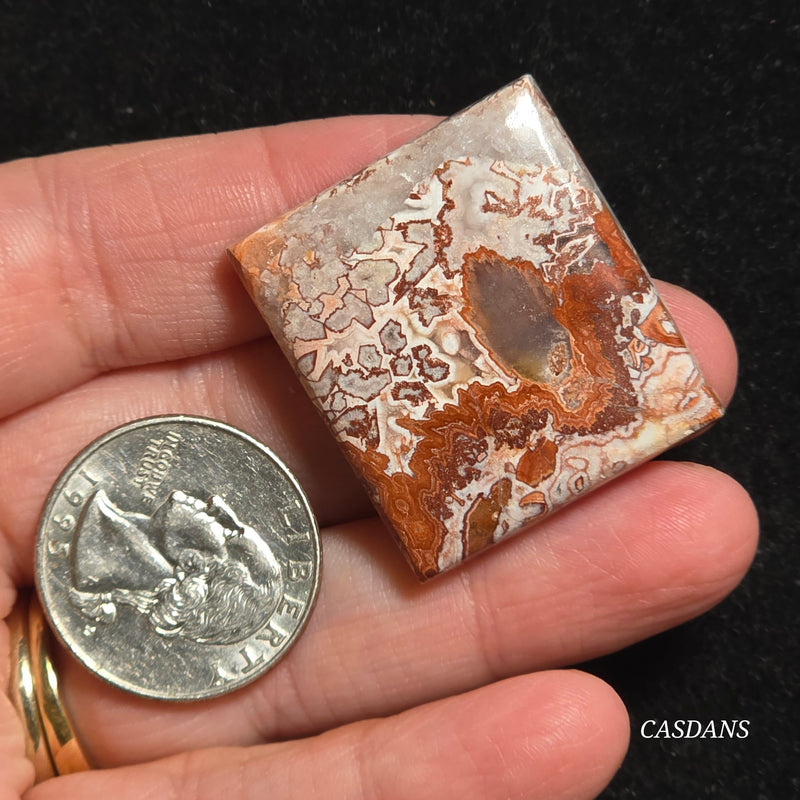 Rosetta Jasper Cabochon