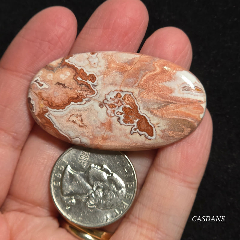 Rosetta Jasper Cabochon