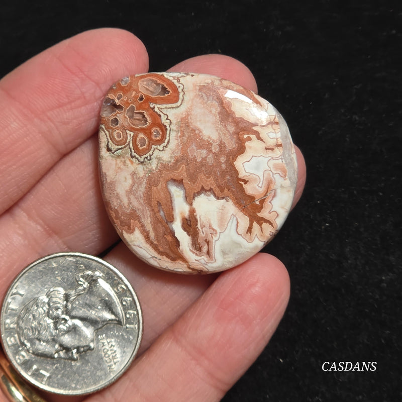 Rosetta Jasper Cabochon