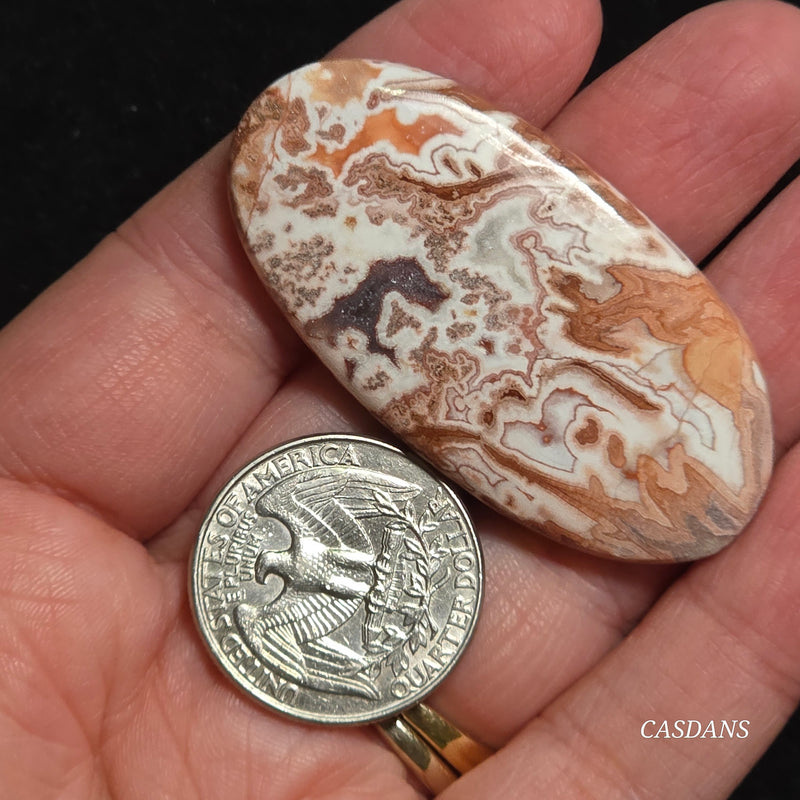 Rosetta Jasper Cabochon