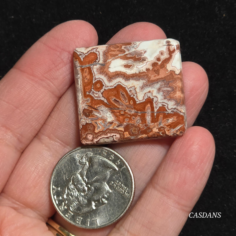 Rosetta Jasper Cabochon