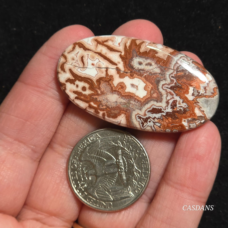 Rosetta Jasper Cabochon