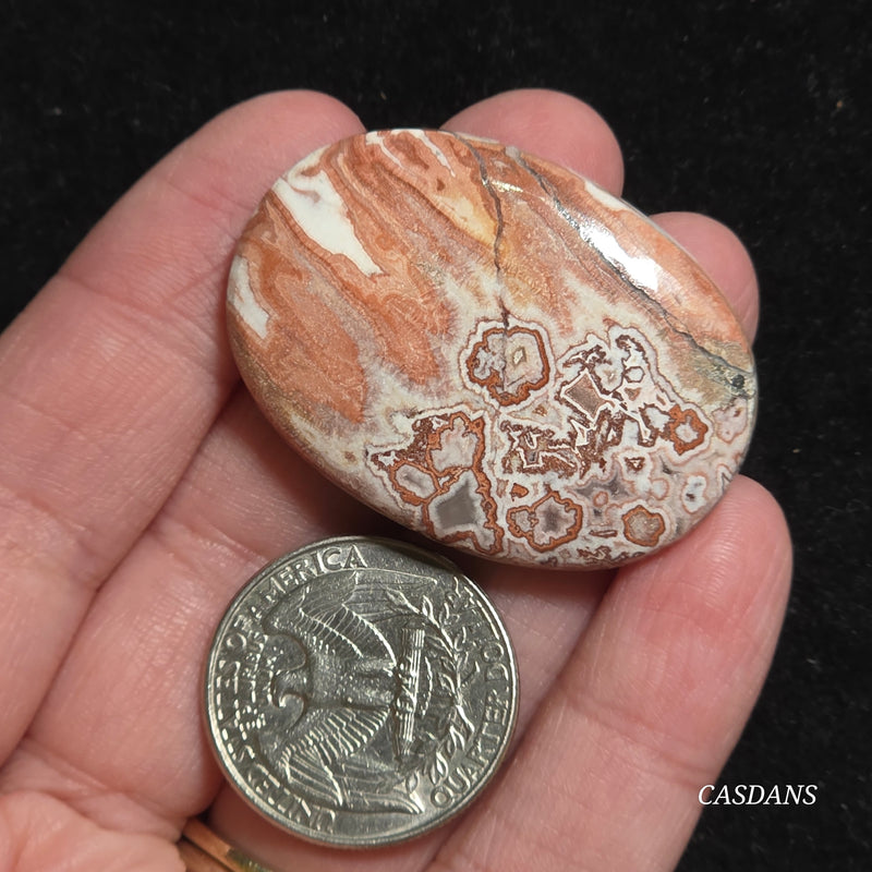 Rosetta Jasper Cabochon