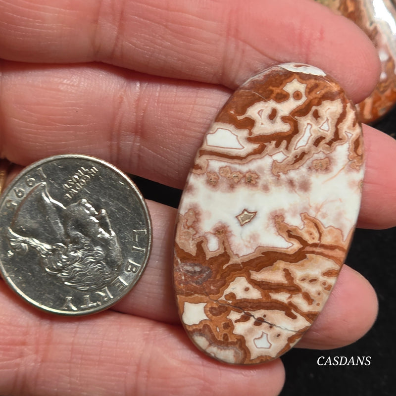 Rosetta Jasper Cabochon