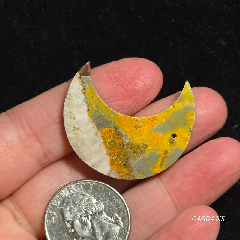 Bumblebee Jasper Moon *IMPERFECT*