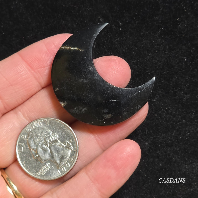 Petrified Palmroot Moon *IMPERFECT*
