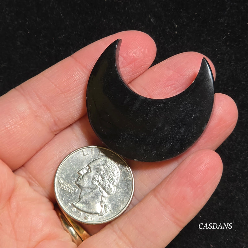 Petrified Palmroot Moon *IMPERFECT*