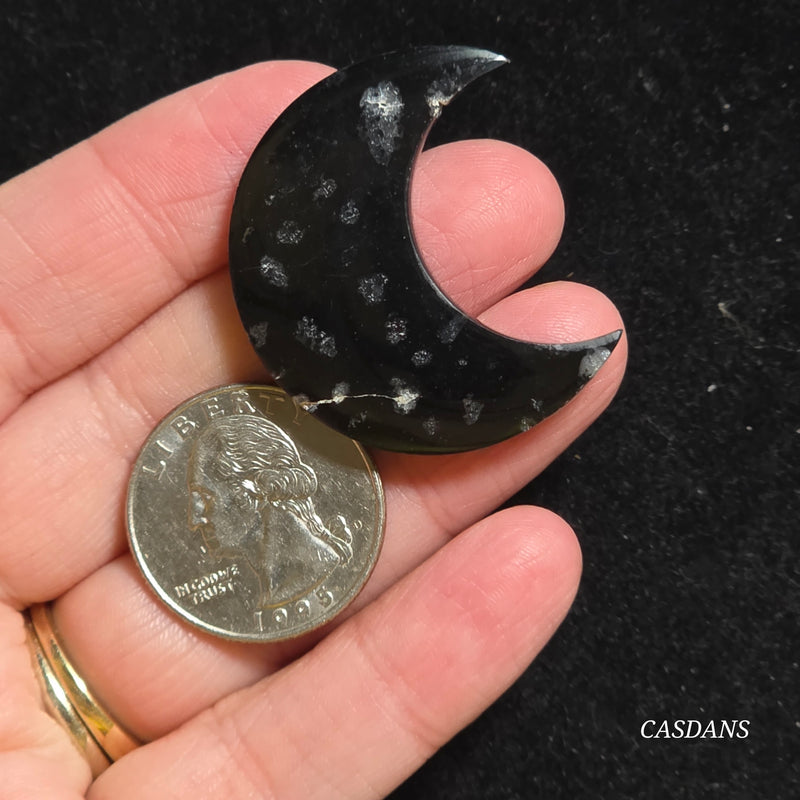Petrified Palmroot Moon *IMPERFECT*