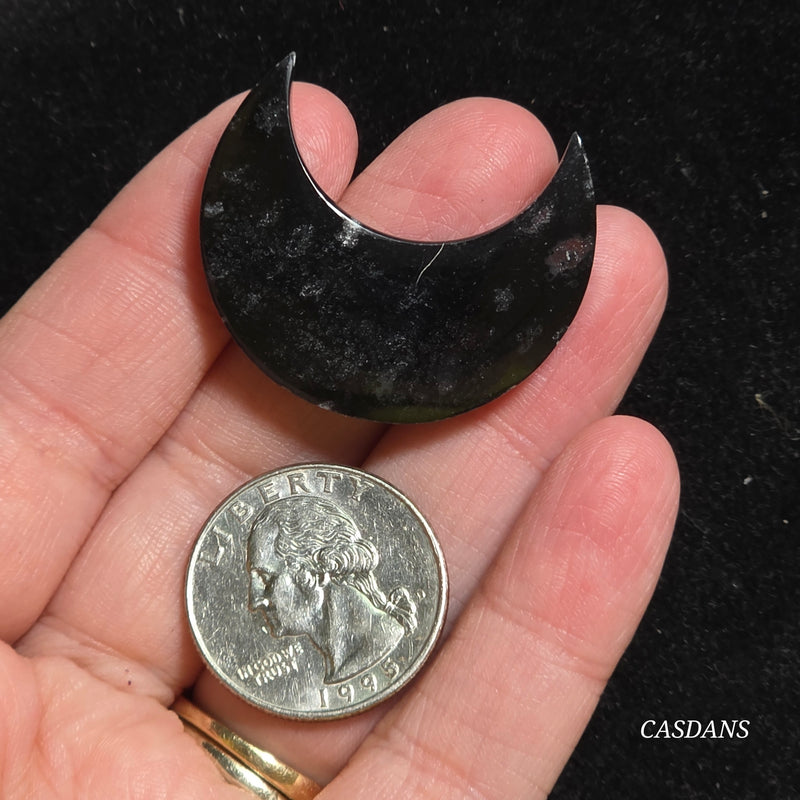 Petrified Palmroot Moon *IMPERFECT*
