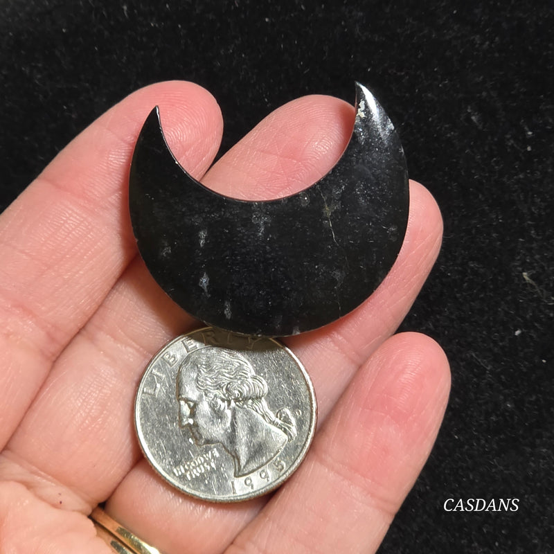 Petrified Palmroot Moon *IMPERFECT*