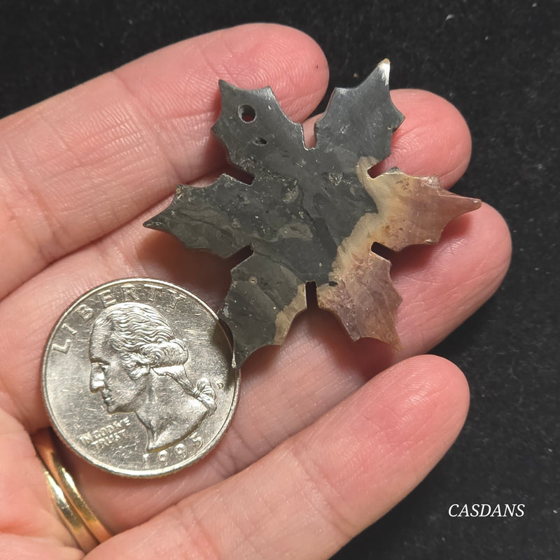 Petrified Wood Snowflake (Drilled)