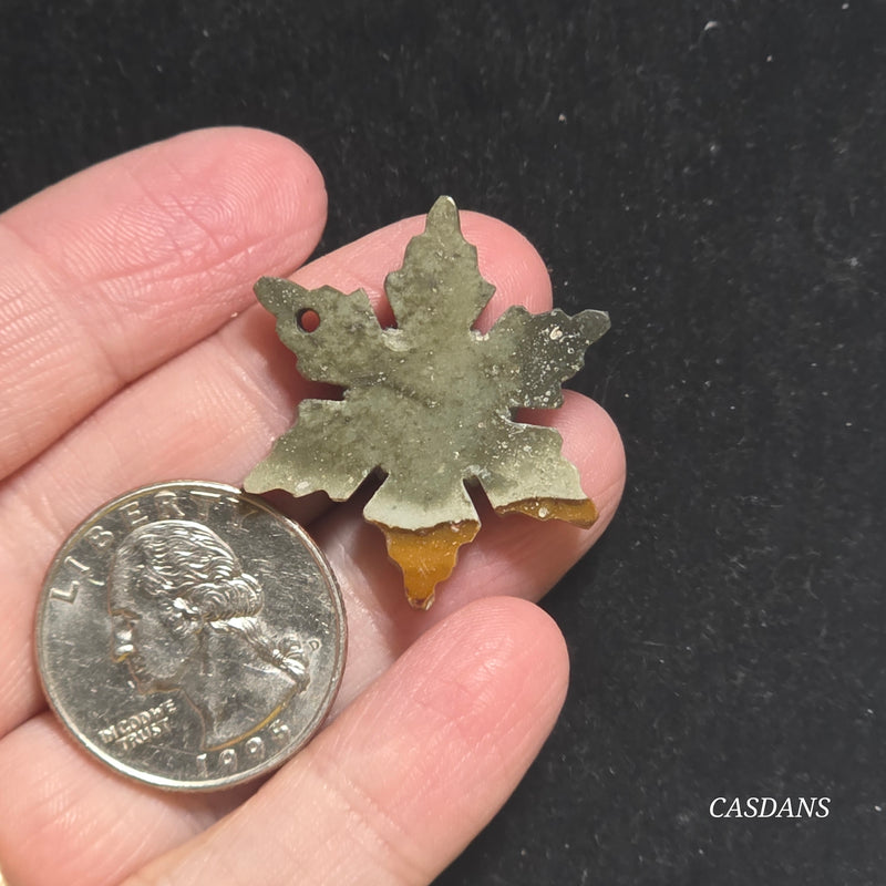 Petrified Wood Snowflake (Drilled)