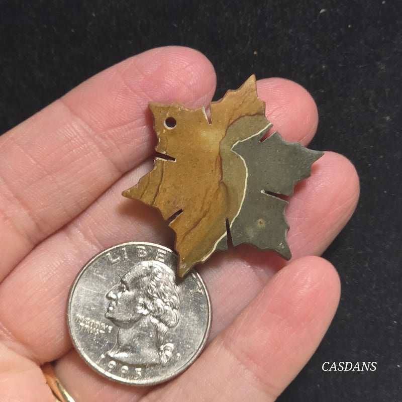 Petrified Wood Snowflake (Drilled)