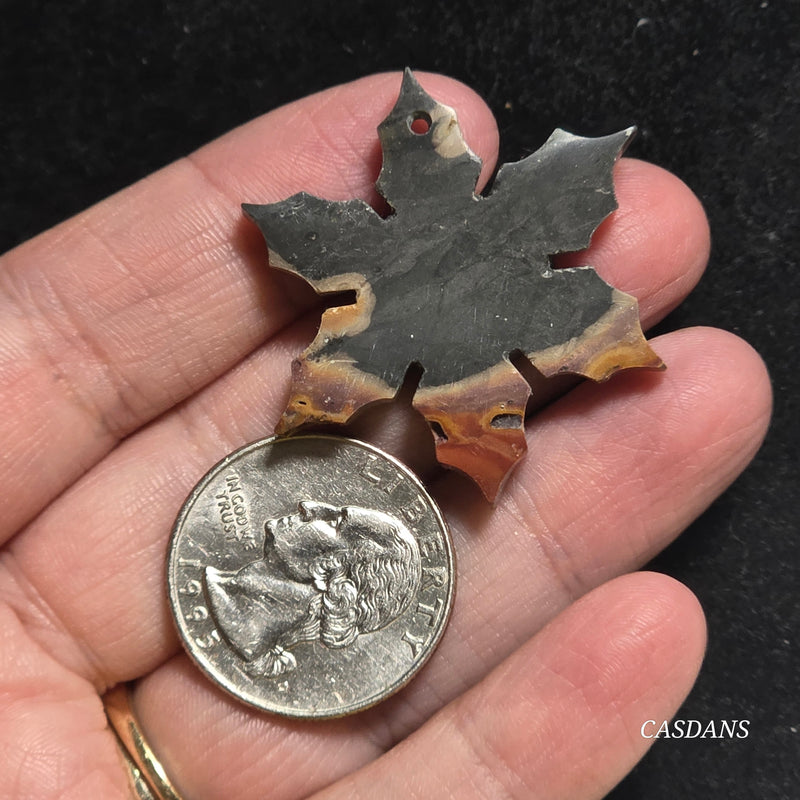 Petrified Wood Snowflake (Drilled)