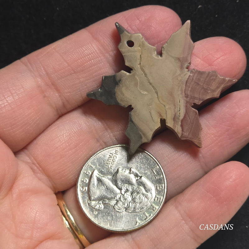 Petrified Wood Snowflake (Drilled)