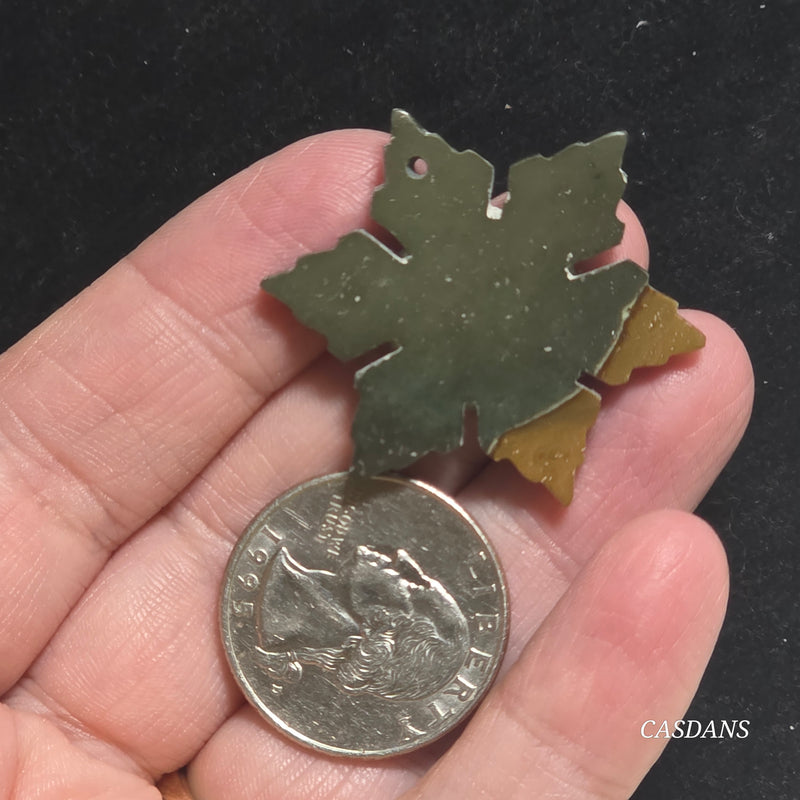 Petrified Wood Snowflake (Drilled)
