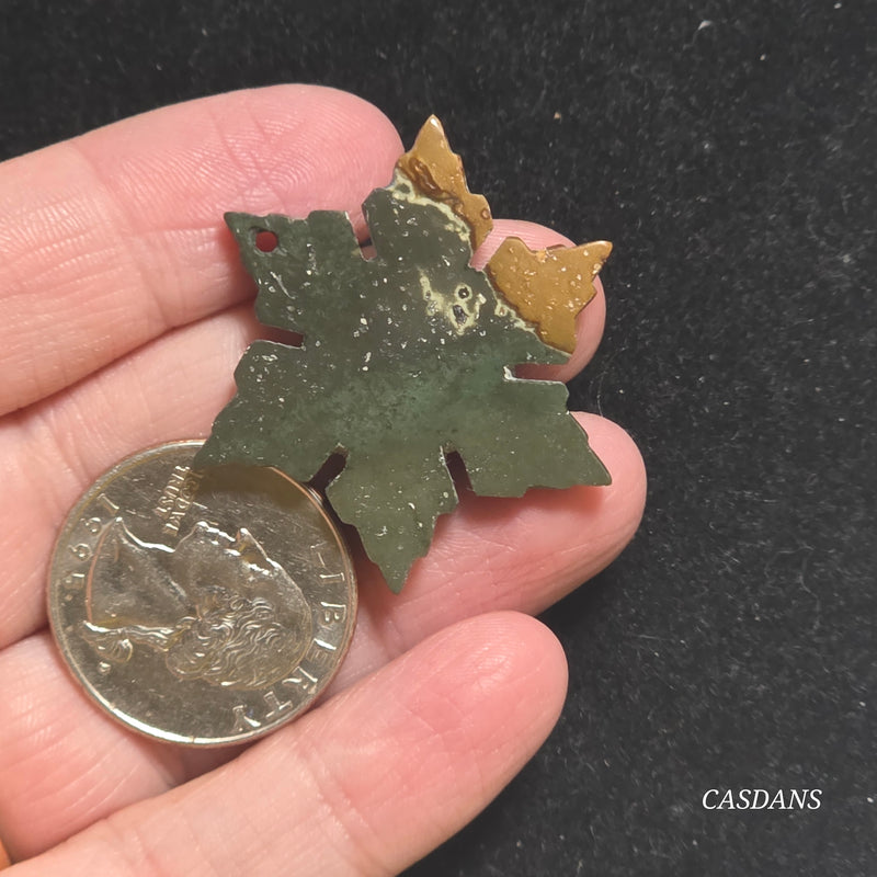 Petrified Wood Snowflake (Drilled)