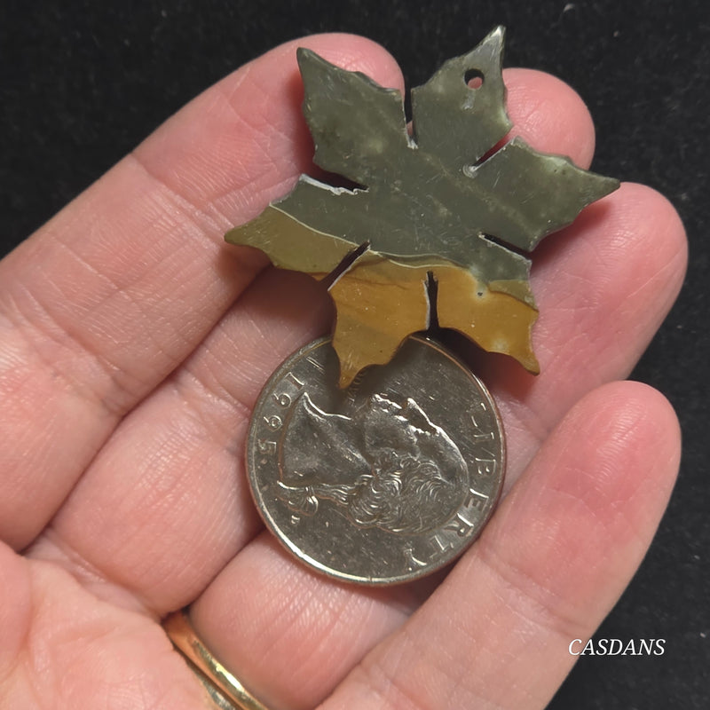 Petrified Wood Snowflake (Drilled)