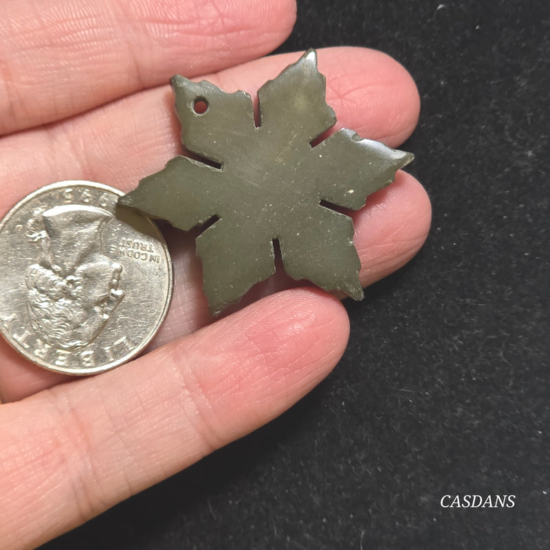 Petrified Wood Snowflake (Drilled)