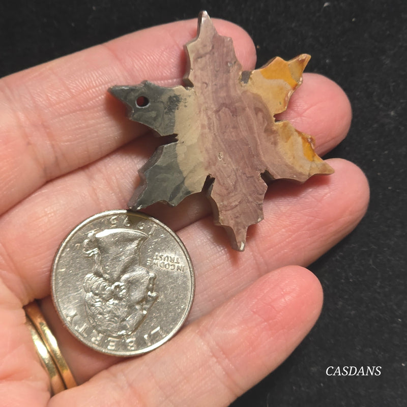 Petrified Wood Snowflake (Drilled)