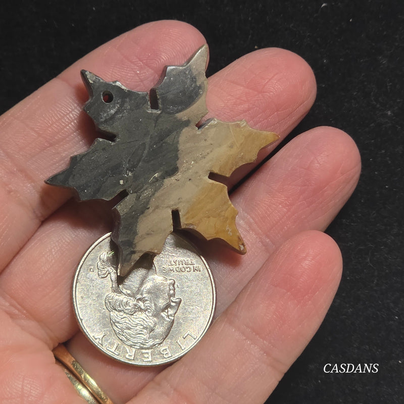 Petrified Wood Snowflake (Drilled)
