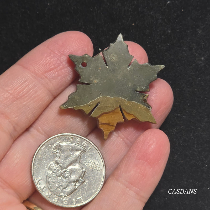 Petrified Wood Snowflake (Drilled)