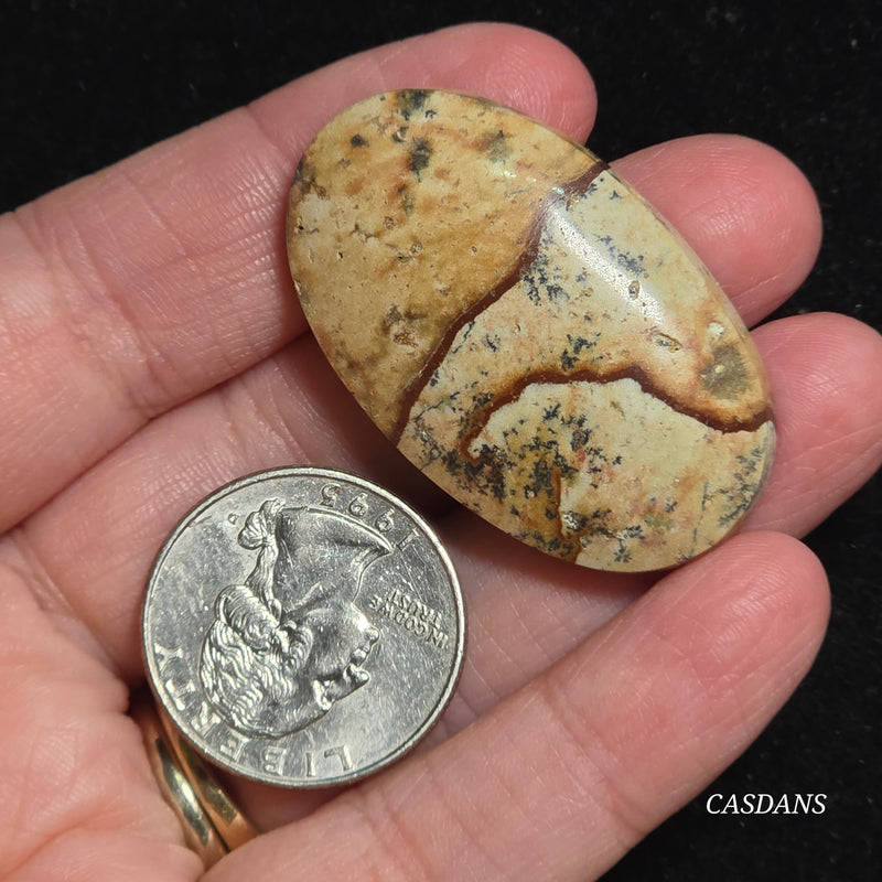 Picture Jasper Cabochon