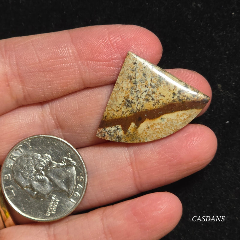 Picture Jasper Cabochon