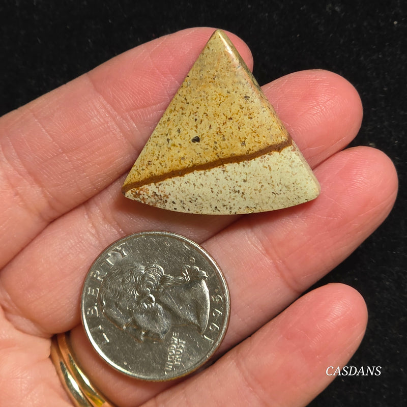 Picture Jasper Cabochon
