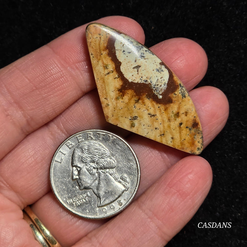 Picture Jasper Cabochon