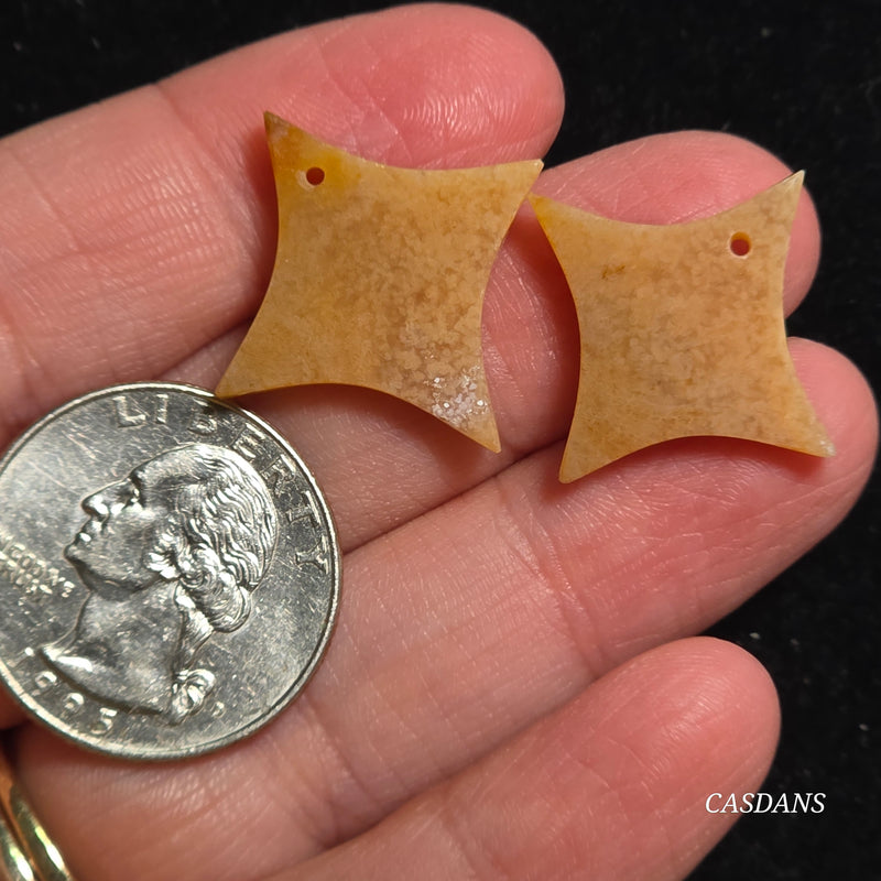 Drilled Coral Fossil Pair