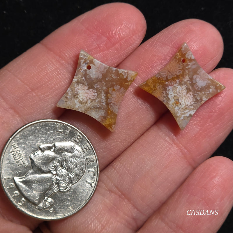 Drilled Coral Fossil Pair