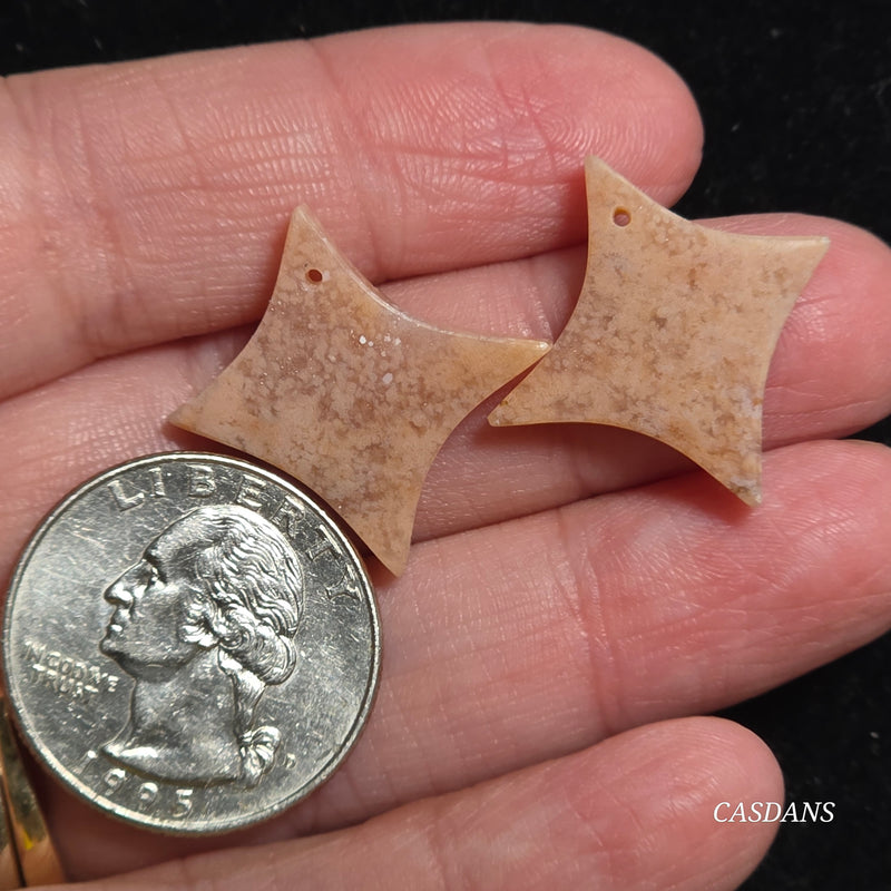 Drilled Coral Fossil Pair