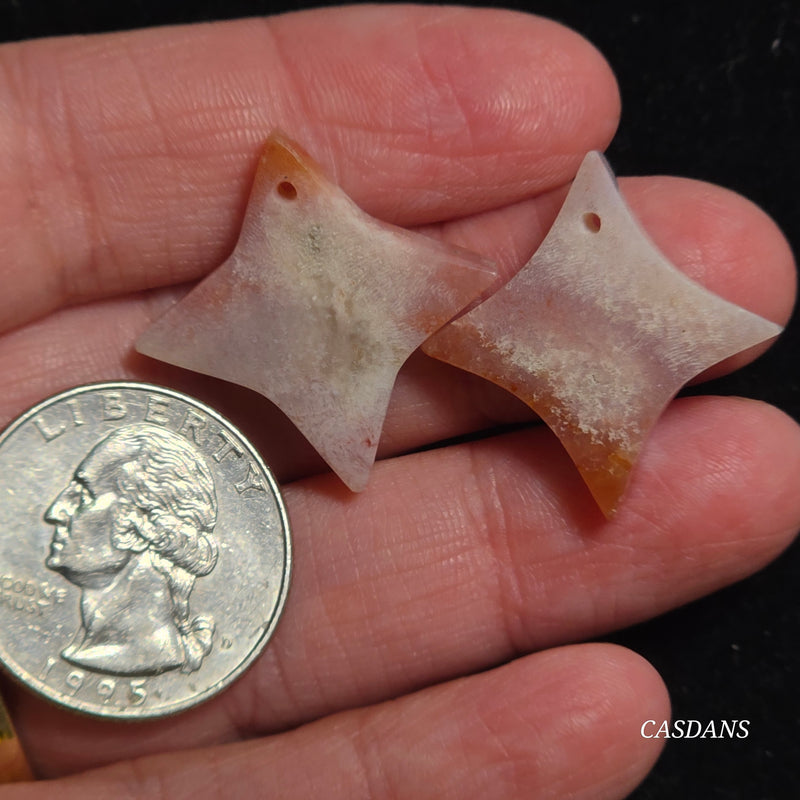 Drilled Coral Fossil Pair