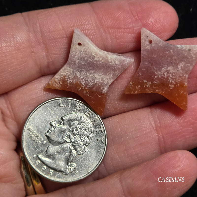 Drilled Coral Fossil Pair
