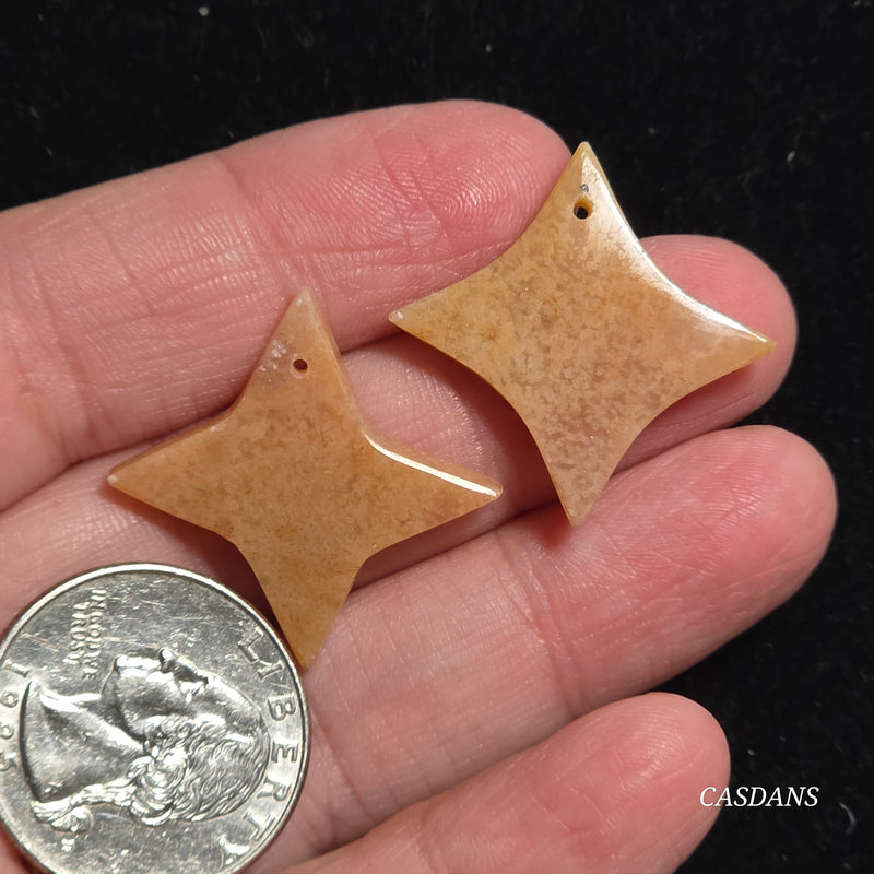 Drilled Coral Fossil Pair