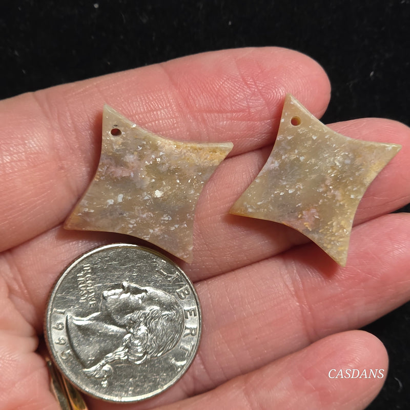 Drilled Coral Fossil Pair
