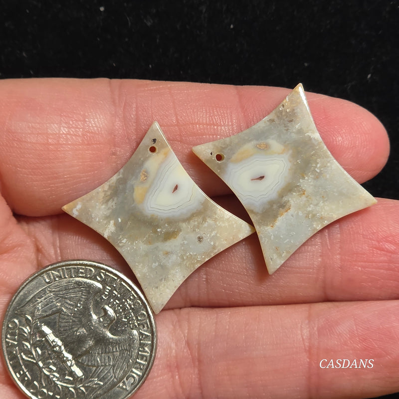 Drilled Coral Fossil Pair