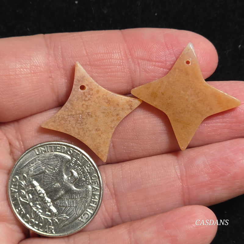Drilled Coral Fossil Pair