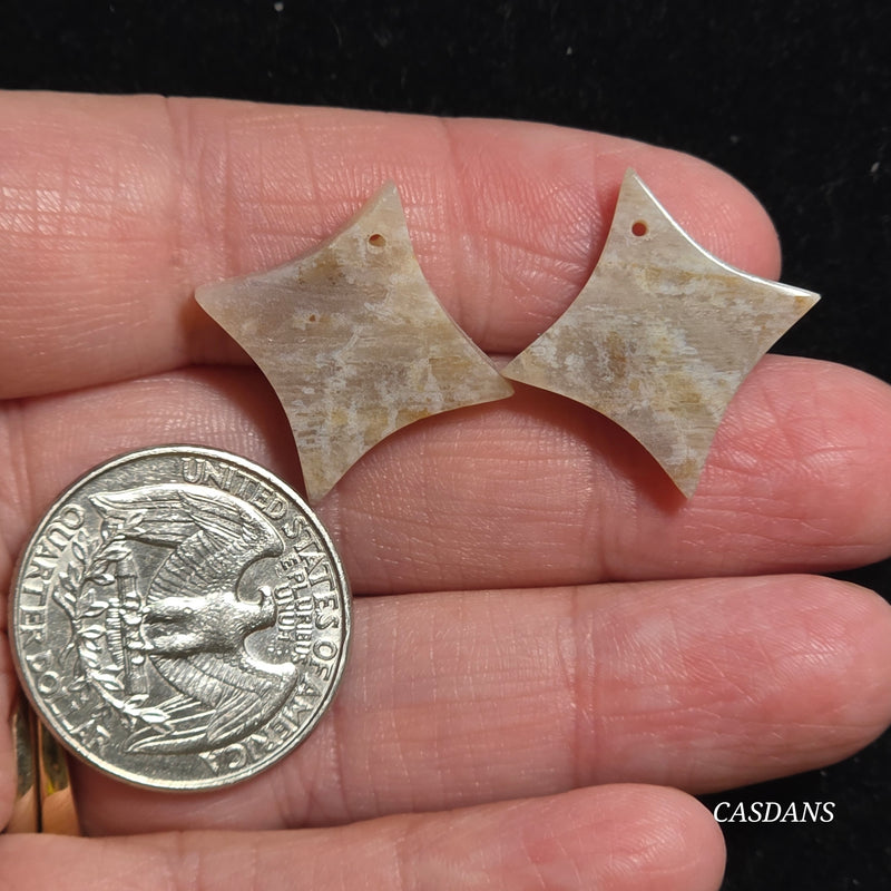 Drilled Coral Fossil Pair