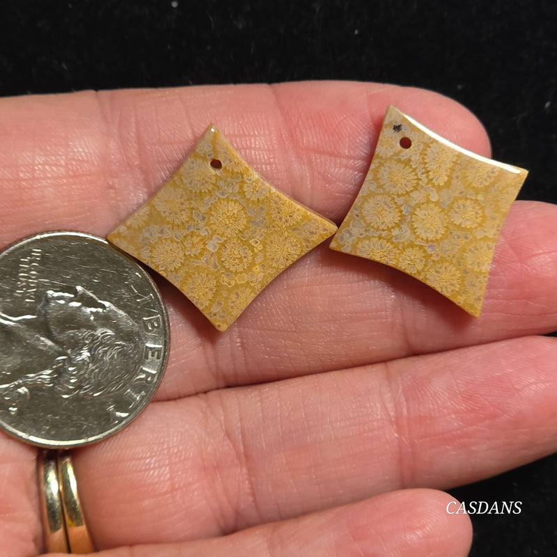 Drilled Coral Fossil Pair